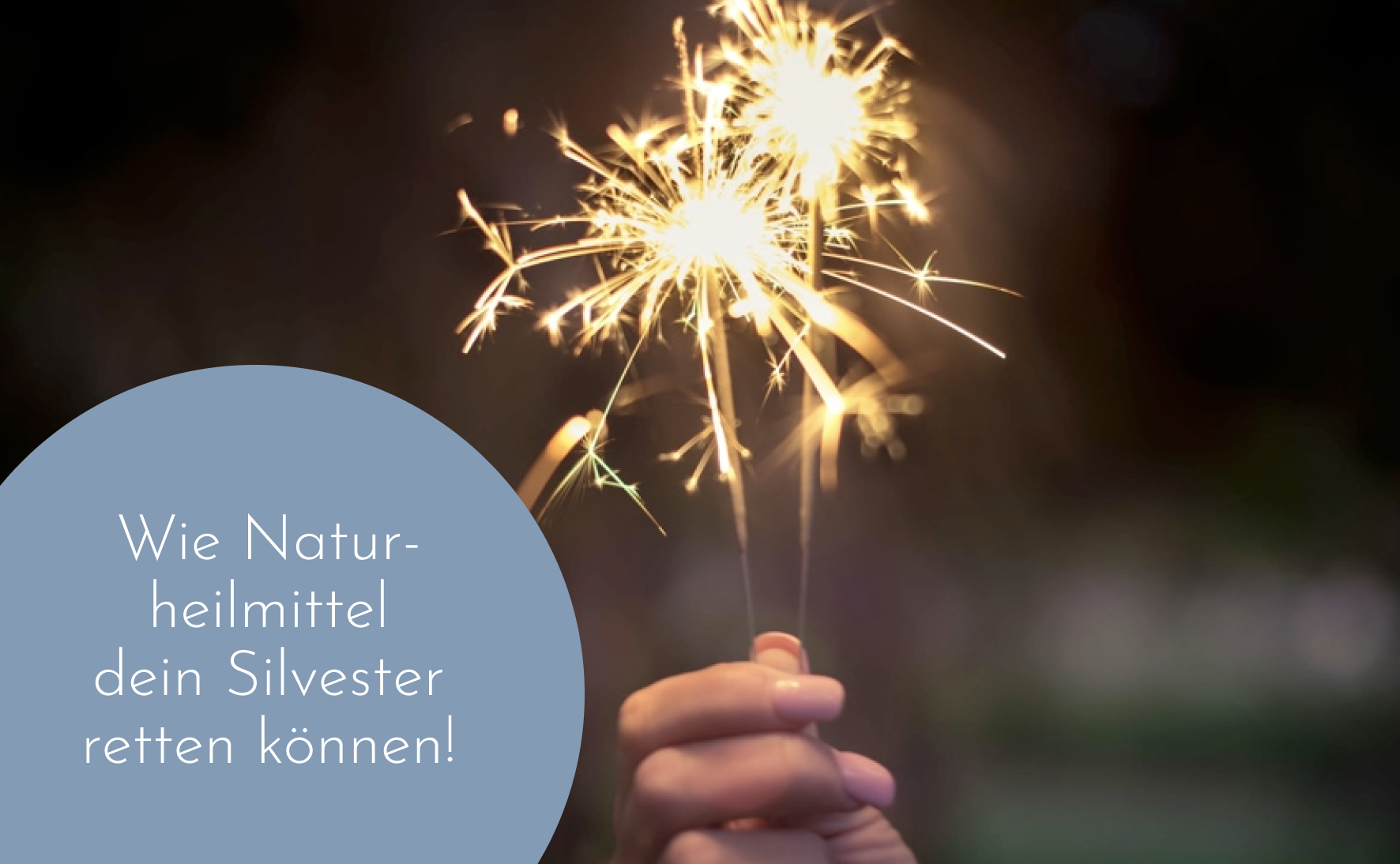 Warum Naturheilmittel für Hunde an Silvester sinnvoll sind
