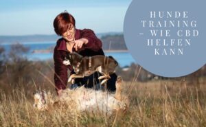 Hundetraining mit CBD – Warum ist es so effektiv?
