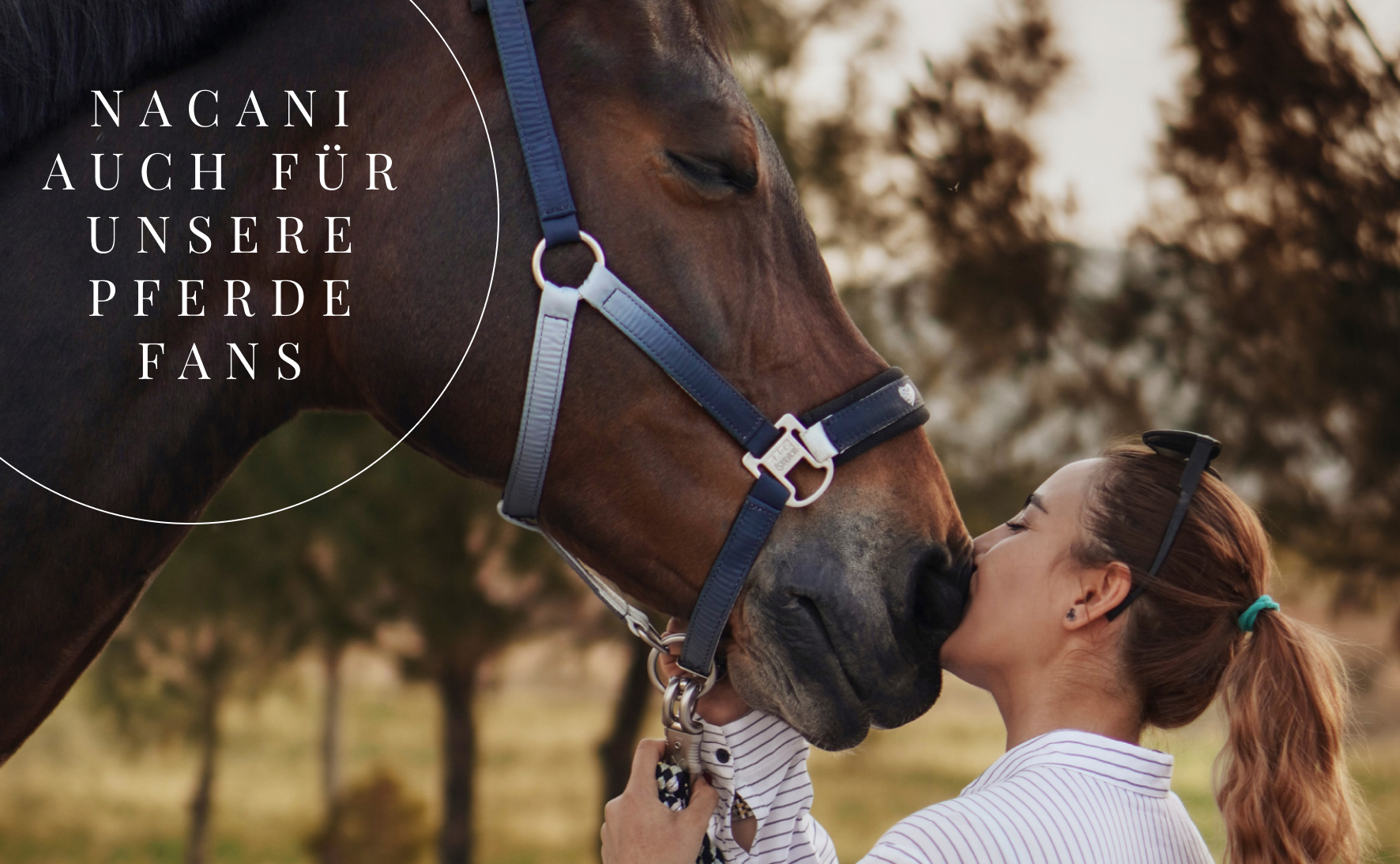 Ist CBD auch für Pferde geeignet?