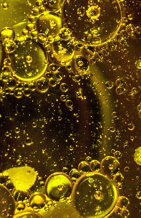 nacani Starter Set Pferde L