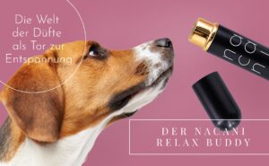 Konditionierte Entspannung für Hunde - Eine duftende Reise zur Ruhe