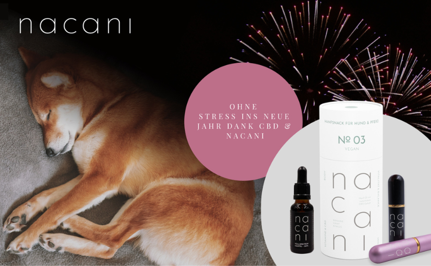 CBD für Hunde an Silvester für einen stressfreien Start in's neue Jahr