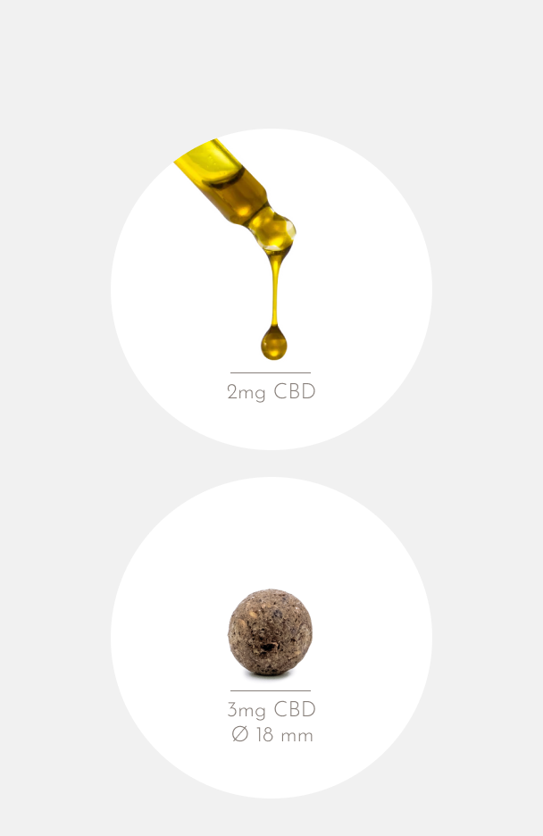 nacani Starter Set M2