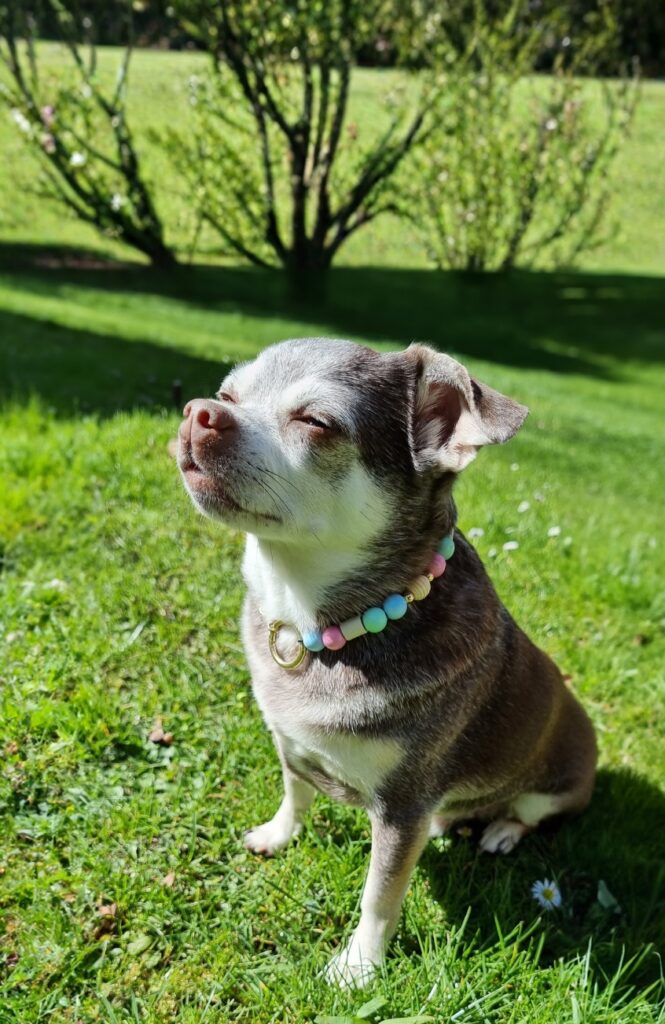 nacani Funktionsketten