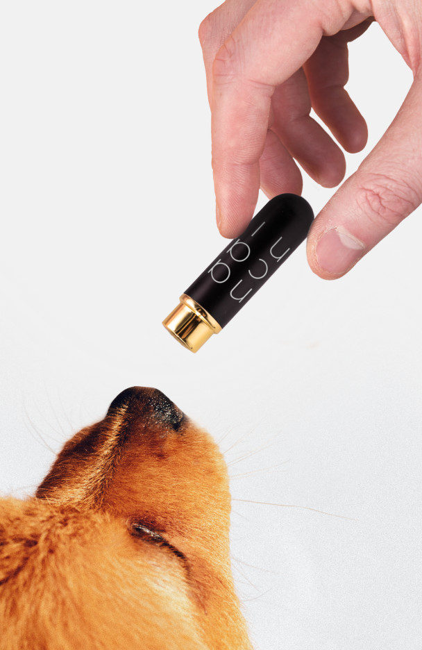 nacani Relax Buddy Set