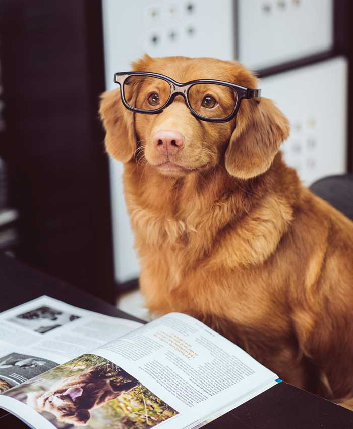 Nacani Popup Newsletter