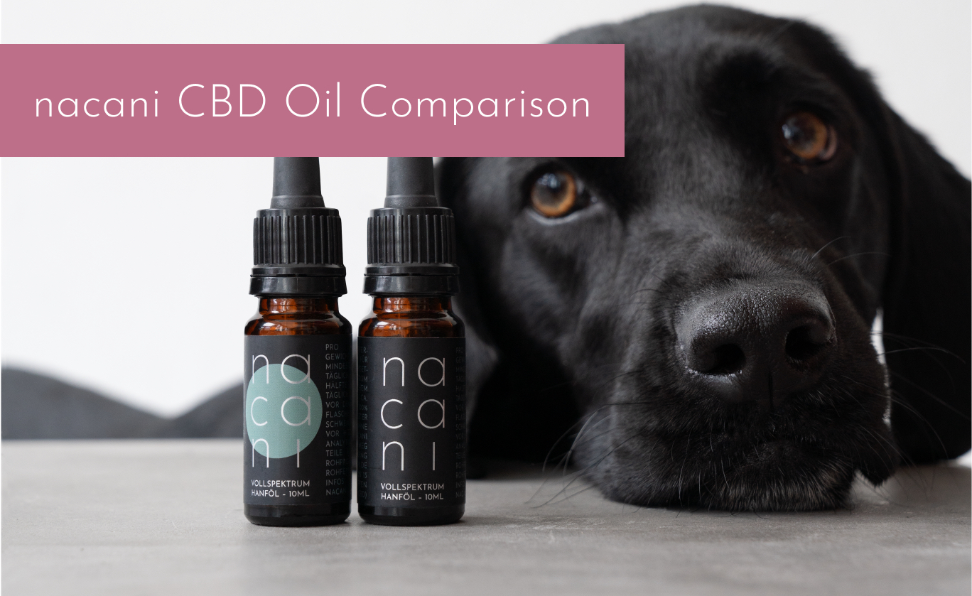 nacani CBD Oil 2.8% vs. 5.6% - What’s the Right Choice for My Dog?