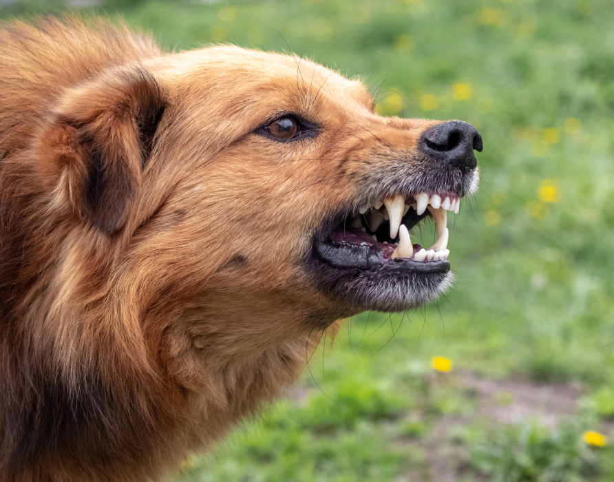 Aggressivität - Innere Anspannung lösen 