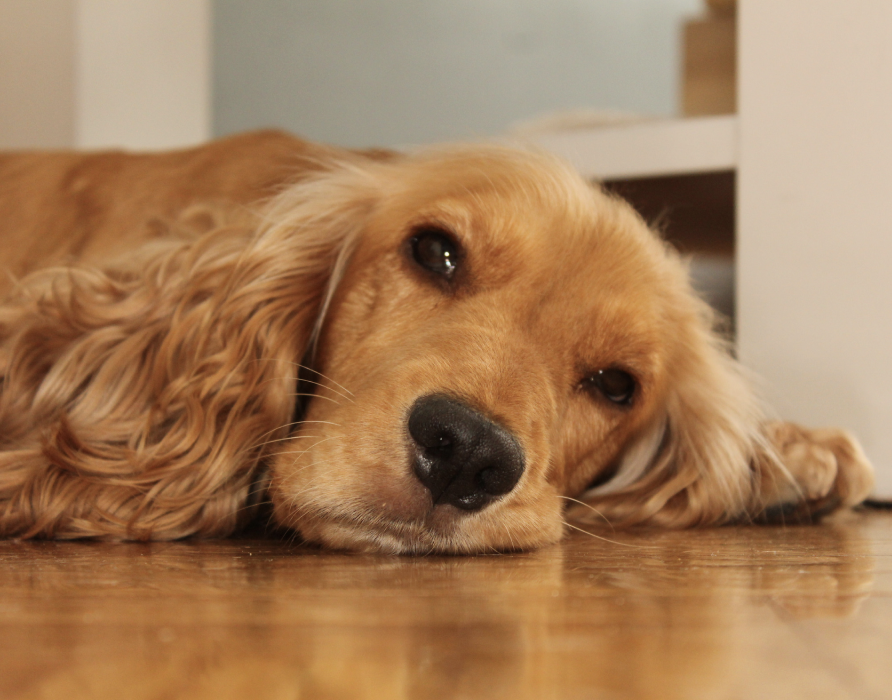 Hormone balance - more stability and happiness