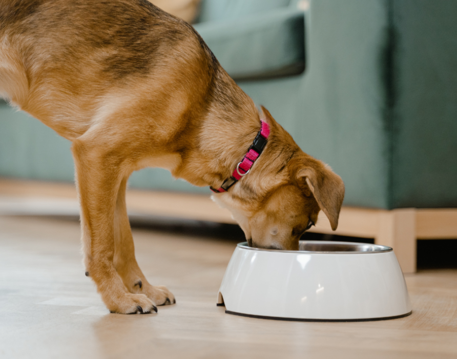 Stomach and gut - beneficial and regulating