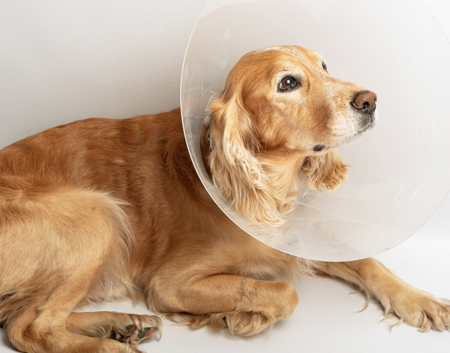 Regeneration - Schnell wieder fit