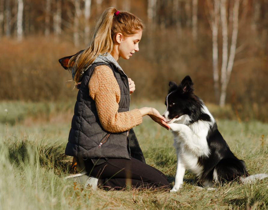 Training - Clevere Hilfsmittel für eine effektive Übungszeit