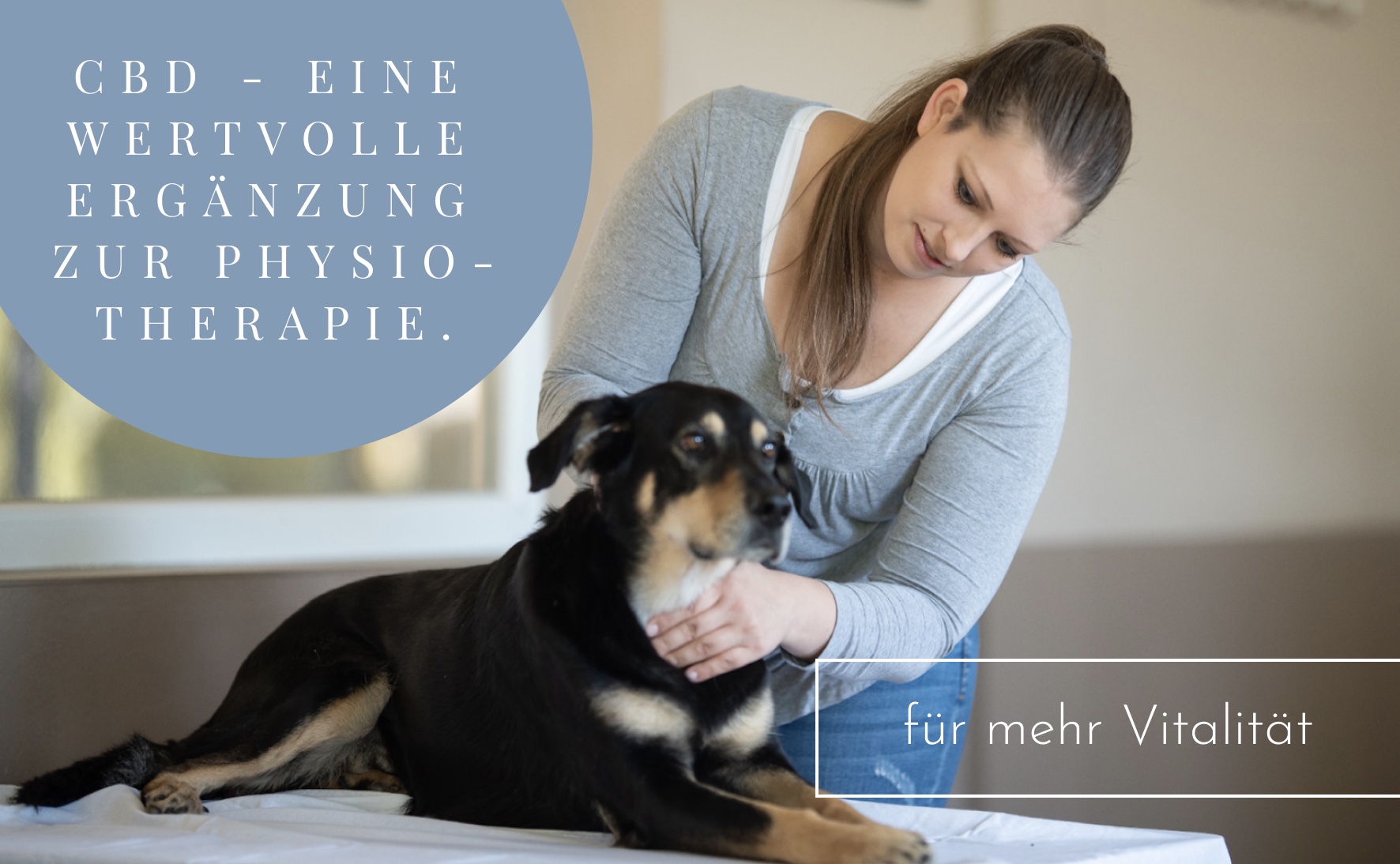 CBD in der Physiotherapie für Hunde & Pferde