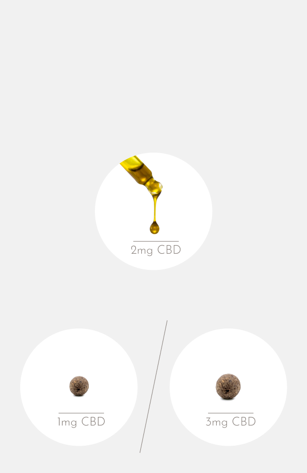 nacani Starter Set Pferde S