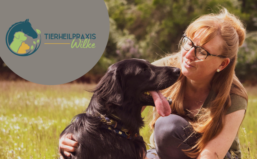 CBD in der Naturheilkunde - Tierheilpraktikerin Uschi Wilke im Interview