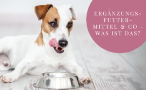 Alleinfuttermittel, Ergänzungsfuttermittel & Co.- Was ist das?