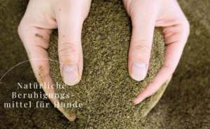 Natürliche Beruhigungsmittel für Hunde - Unsere Top 3 Produkte