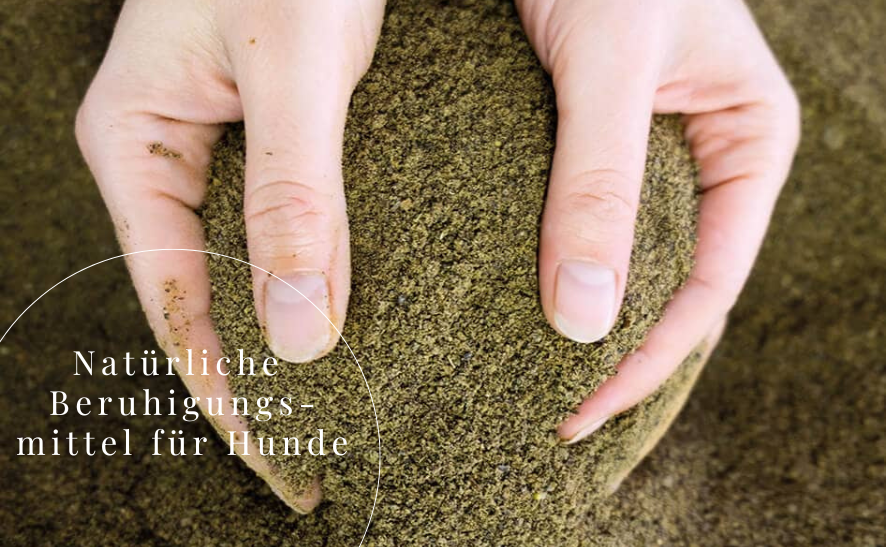 Natürliche Beruhigungsmittel für Hunde - Unsere Top 3 Produkte