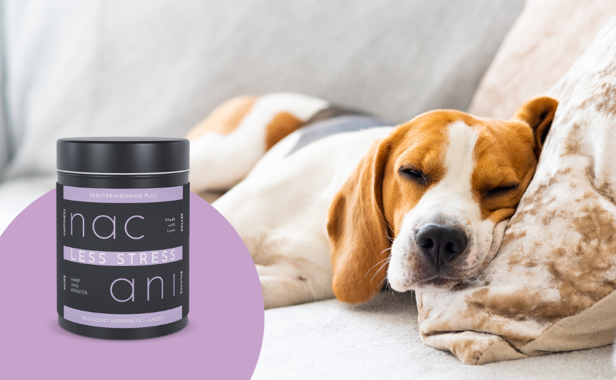 Kräutermischung bei Angst und Nervosität - Unser LESS STRESS