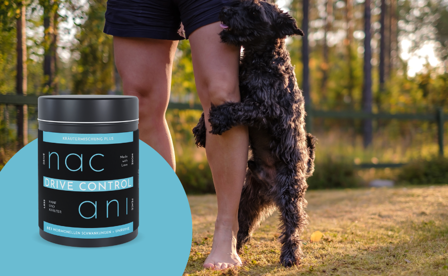 Kräutermischung für Rüden - Unser DRIVE CONTROL