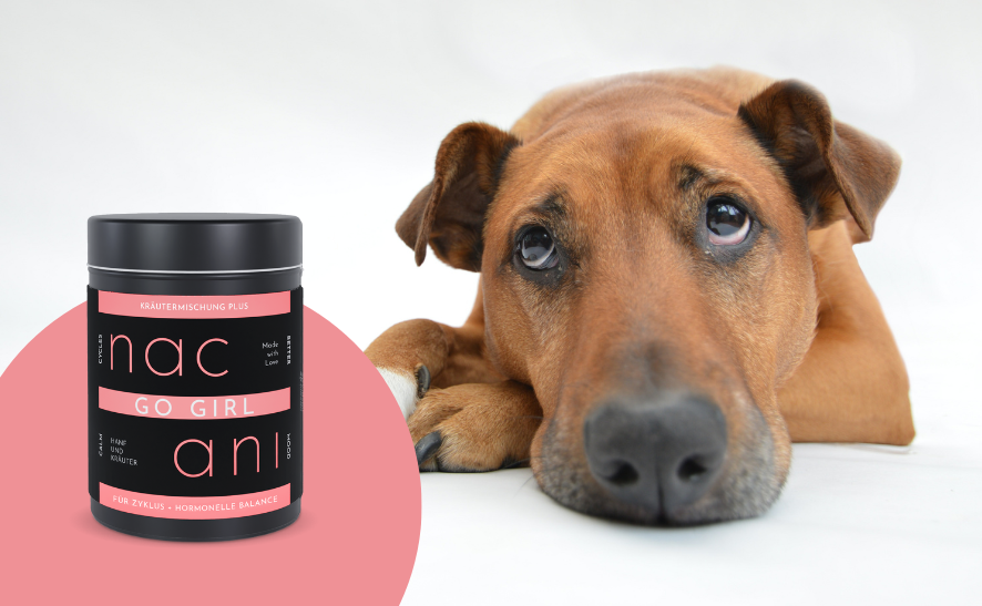 Kräutermischung für Rüden - Unser DRIVE CONTROL