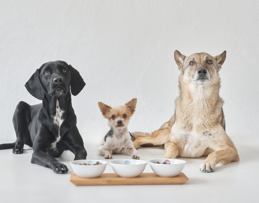 Testers - Get to Know nacani Products   