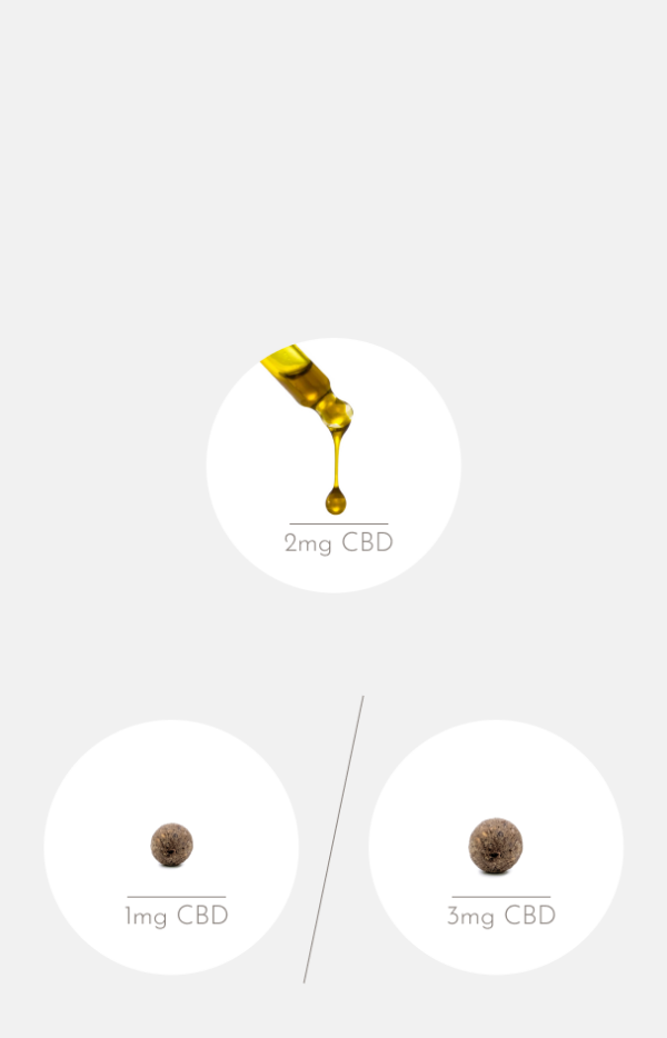 nacani Starter Set Pferde L