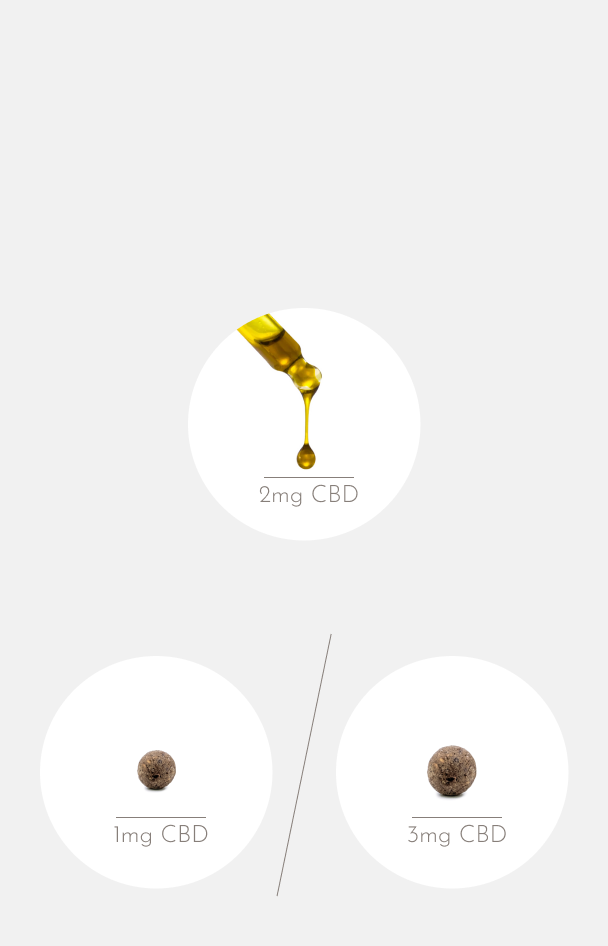 nacani Starter Set Pferde L